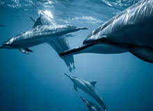 世界杯客户端更新说明-进球是激励！戴伟浚：盼入选国足 杭州亚运是小目标